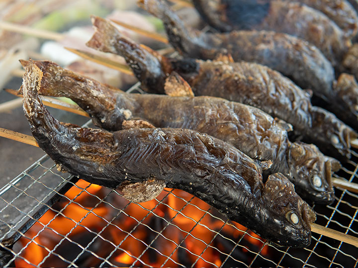 美味しい川魚