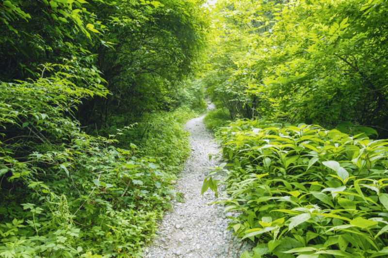 山間の風景と川