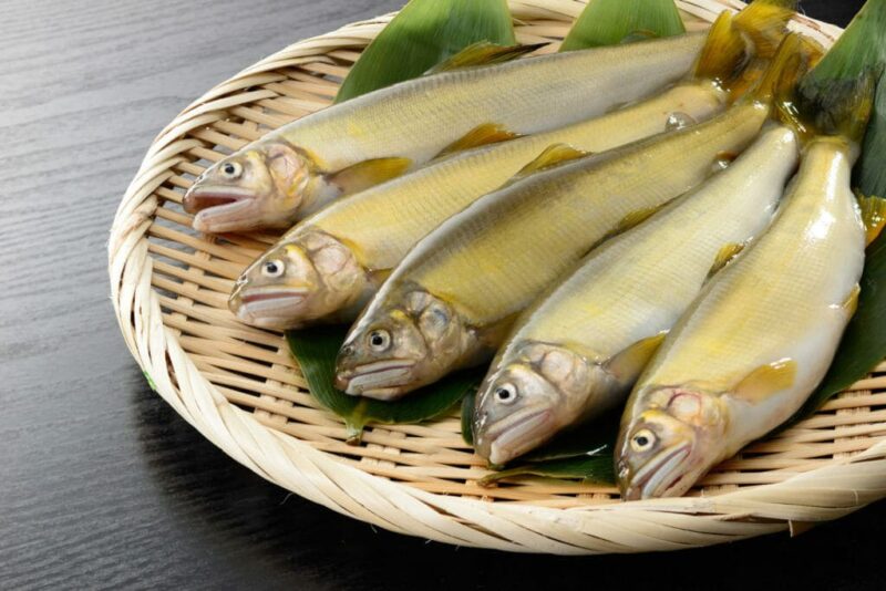 鮎