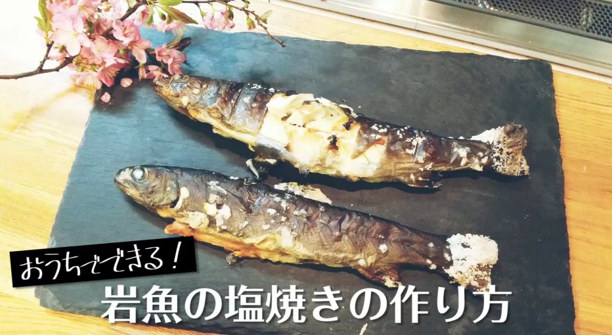 イワナの塩焼きの作り方